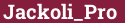 Brick with text Jackoli_Pro