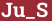Brick with text Ju_S