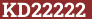 Brick with text KD22222
