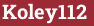 Brick with text Koley112