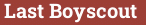 Brick with text Last Boyscout
