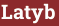 Кирпич с текстом Latyb