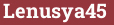 Brick with text Lenusya45