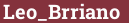 Brick with text Leo_Brriano
