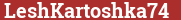 Кирпич с текстом LeshKartoshka74