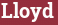 Brick with text Lloyd