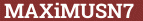 Brick with text MAXiMUSN7