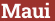 Кирпич с текстом Mauі