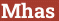 Brick with text Mhas