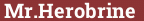 Brick with text Mr.Herobrine
