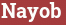 Brick with text Nayob
