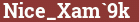 Brick with text Nice_Xam`9k