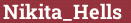 Brick with text Nikita_Hells