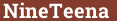 Кирпич с текстом NineTeena