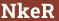 Кирпич с текстом NkeR