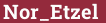 Brick with text Nor_Etzel