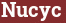 Brick with text Nucyc