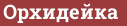 Brick with text Oрхидейка