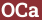 Brick with text OCa