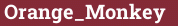 Brick with text Orange_Monkey