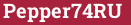 Brick with text Pepper74RU
