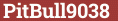 Brick with text PitBull9038