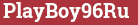 Brick with text PlayBoy96Ru