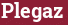 Кирпич с текстом Plegaz