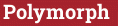 Brick with text Polymorph