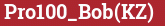 Brick with text Pro100_Bob(KZ)