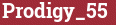 Brick with text Prodigy_55