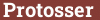 Brick with text Protosser