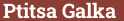 Brick with text Ptitsa Galka