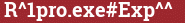 Кирпич с текстом R^1pro.exe#Exp^^