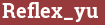 Brick with text Reflex_yu