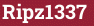 Brick with text Ripz1337