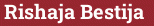 Brick with text Rishaja Bestija