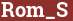 Brick with text Rom_S