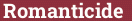Brick with text Romanticide