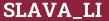 Brick with text SLAVA_LI