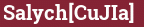 Brick with text Salych[CuJIa]