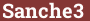 Кирпич с текстом Sanche3