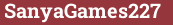 Brick with text SanyaGames227