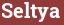 Brick with text Seltya