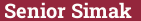 Brick with text Senior Simak