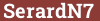 Brick with text SerardN7