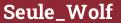 Brick with text Seule_Wolf