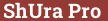 Brick with text ShUra Pro