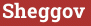 Brick with text Sheggov