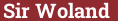 Brick with text Sir Woland